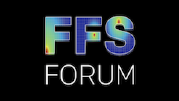 FFS Forum: Crack-like Flaw Categorization Rules