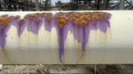 The Power of Image Analytics in Mitigating Corrosion