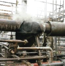 Failure of a steam distribution line at a combined refinery and petrochemical complex. [2]