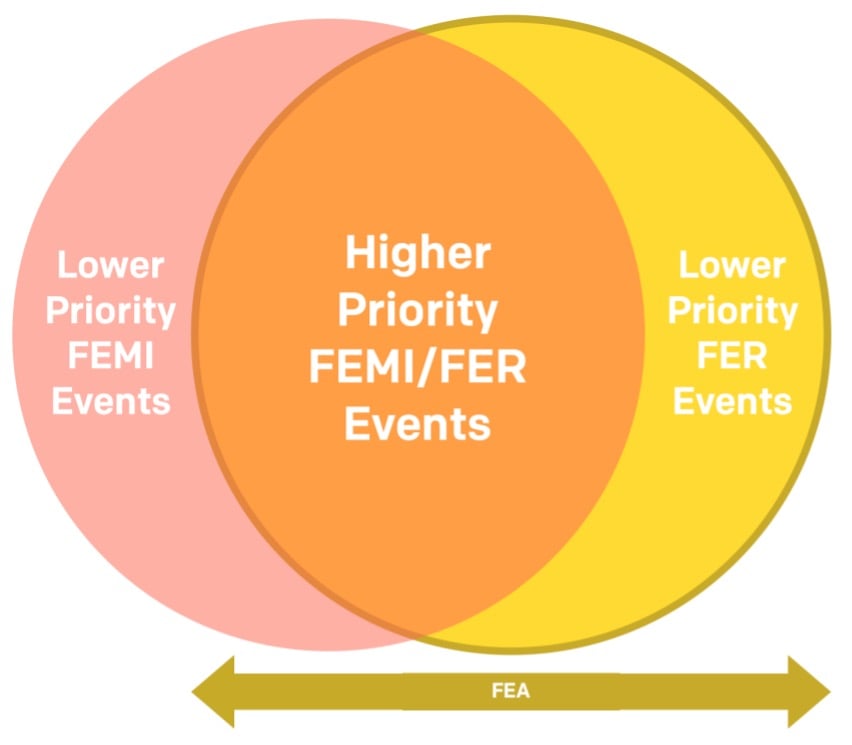 Figure 1. The Relationship and Overlap between FEMI and FER Events.