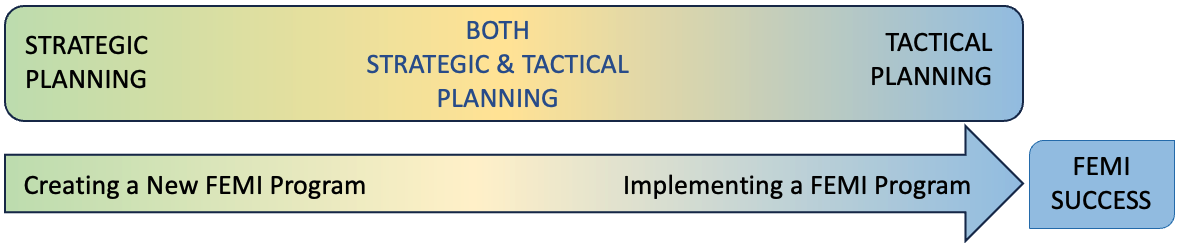 Figure 1. Strategic and Tactical Planning Skills for FEMI